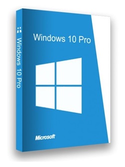 Windows 10 X64 Pro 20H2 MULTi-24 NOV 2020 {Gen2} torrent